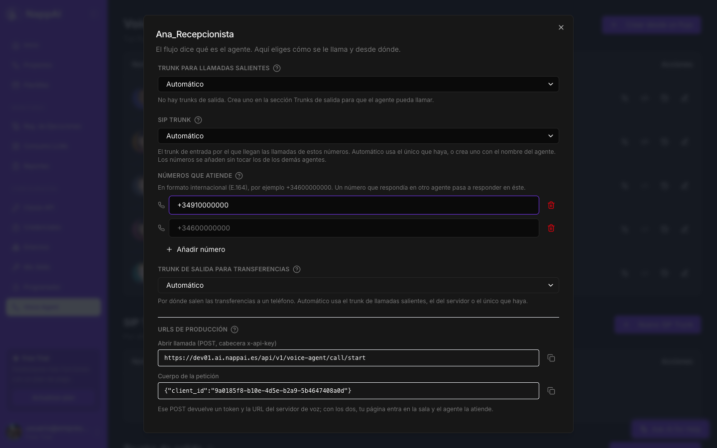 Configurar consumo con Teléfono (SIP): SIP Trunk, Números que atiende y Trunk de salida para transferencias